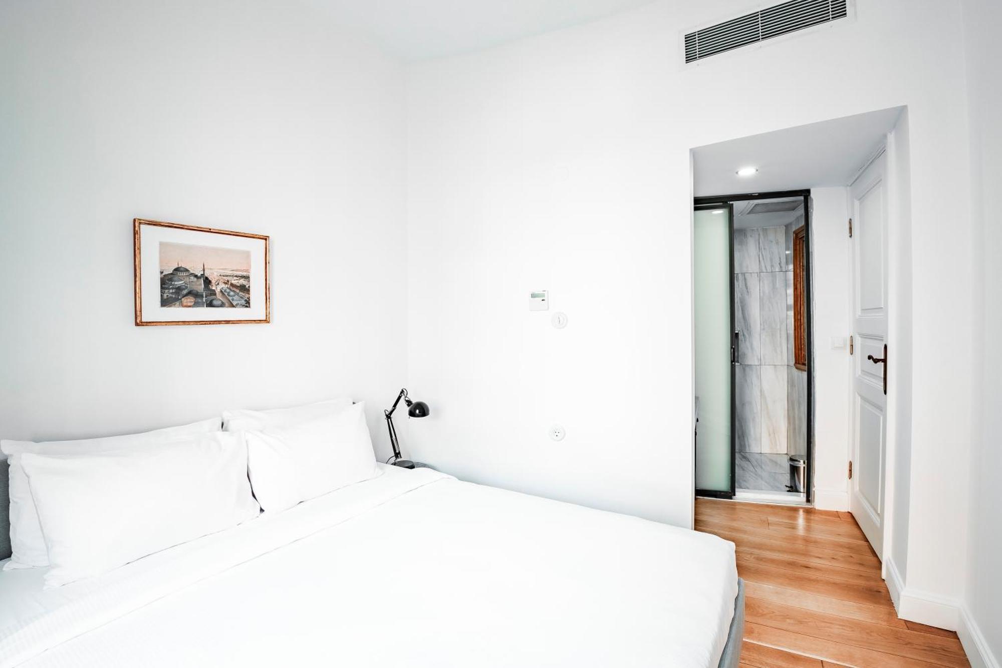 Homie Suites - Historical Apartment Nearby Galata Tower 伊斯坦布尔 客房 照片